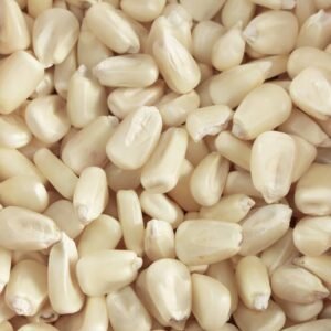 White Corn