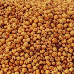 Tiger Nuts